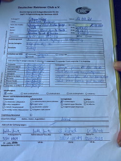MGeorge20210717JASBerichtklein MGeorge20210717JASBerichtklein