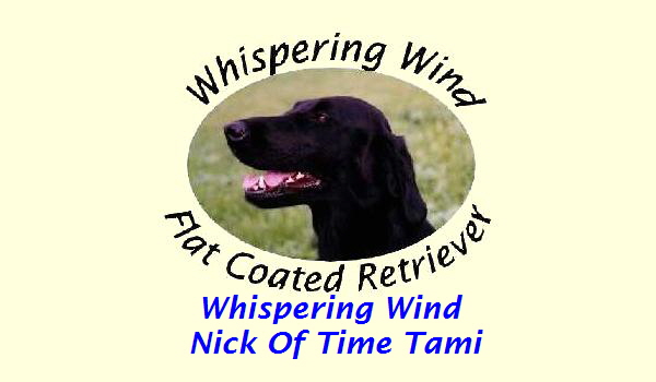 Whispering Wind 
Nick Of Time Tami