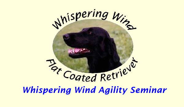 Whispering Wind Agility Seminar