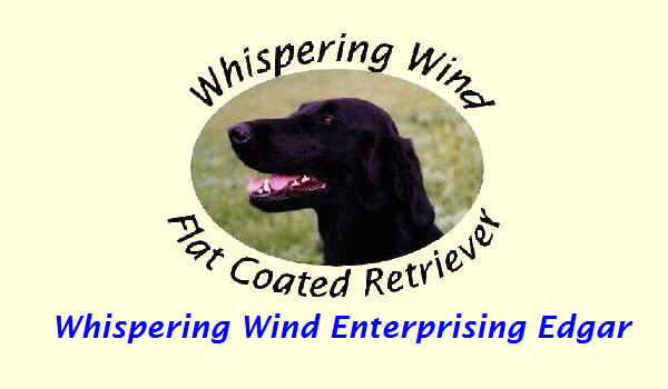 Whispering Wind Enterprising Edgar