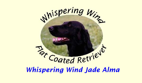 Whispering Wind Jade Alma
