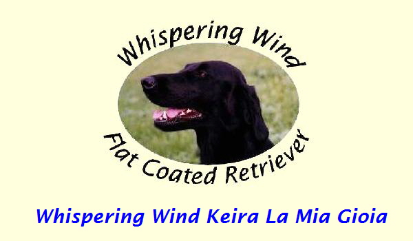 Whispering Wind Keira La Mia Gioia