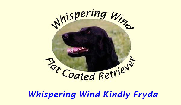 Whispering Wind Kindly Fryda