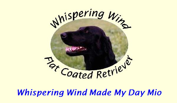 Whispering Wind Made My Day Mio